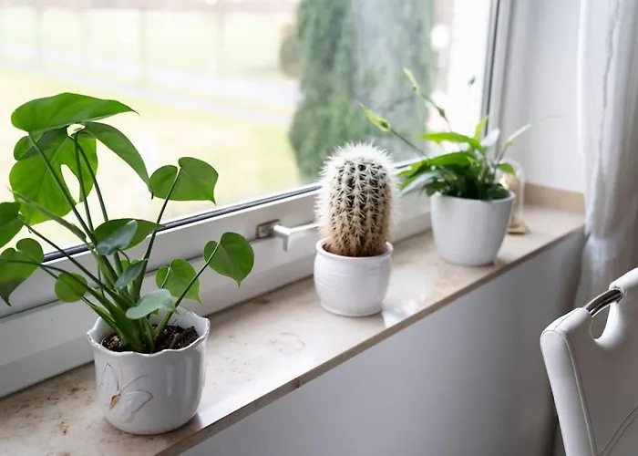 Idyllische Mit Weitblick شقة نويكيرشن-فلوين